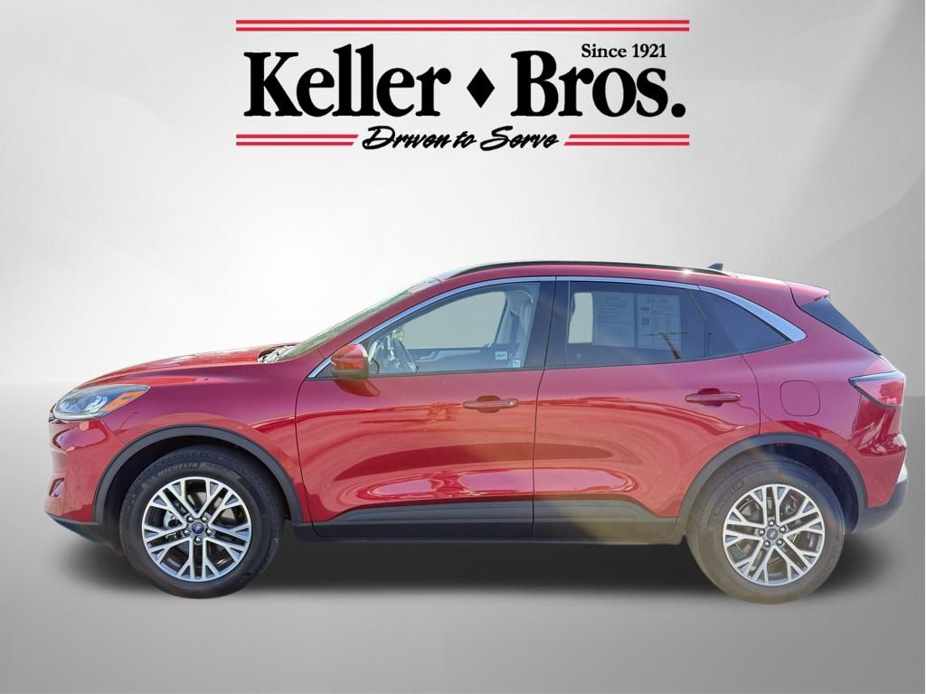 2021 Ford Escape SEL photo 3