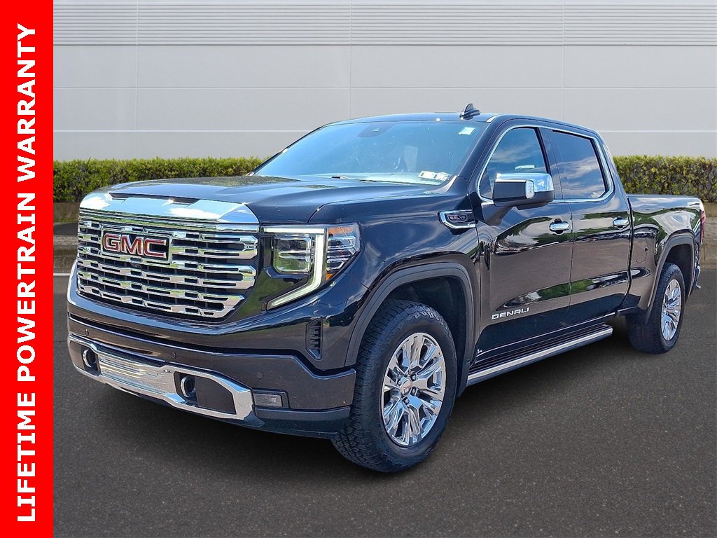 2022 Gmc Sierra 1500 Denali photo 3