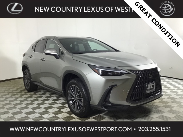 2022 Lexus NX Hybrid 350h's photo