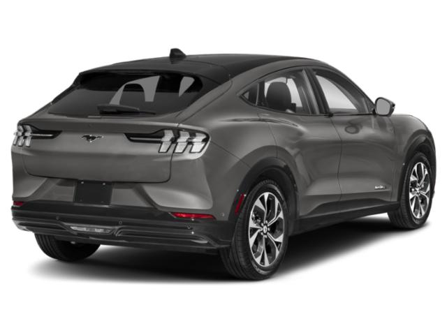 Used 2021 Ford Mustang Mach-E Premium AWD with VIN 3FMTK3SS5MMA56988 for sale in Glen Cove, NY