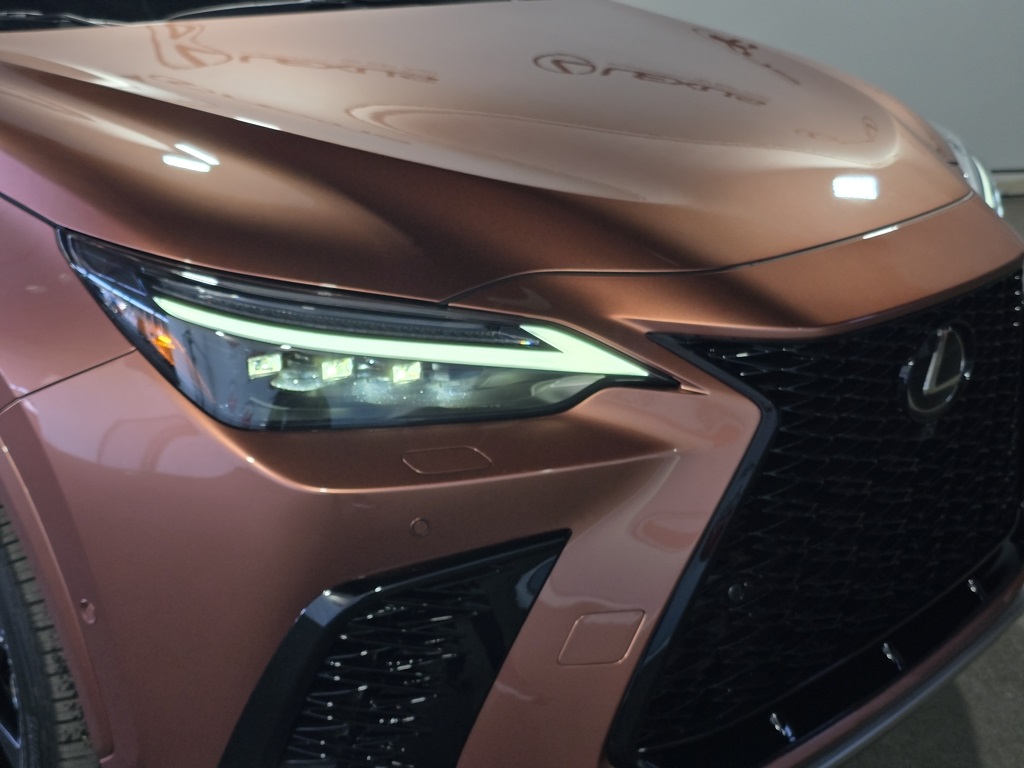 2025 Lexus NX 450h+ F SPORT photo 5