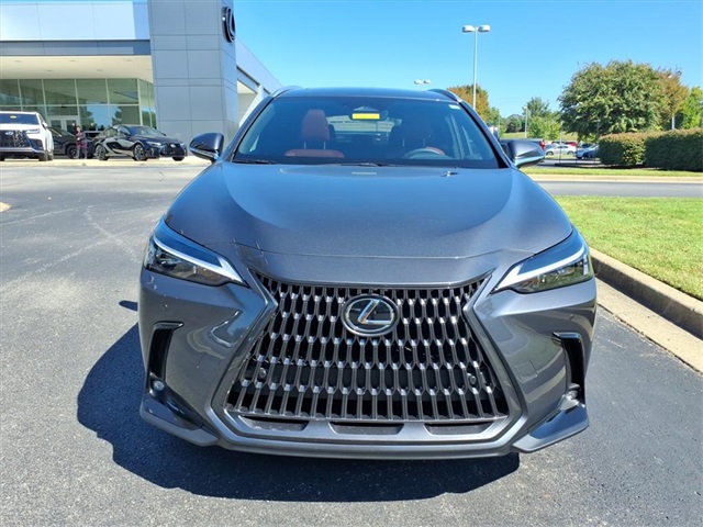 2026 Lexus NX 350 photo 8