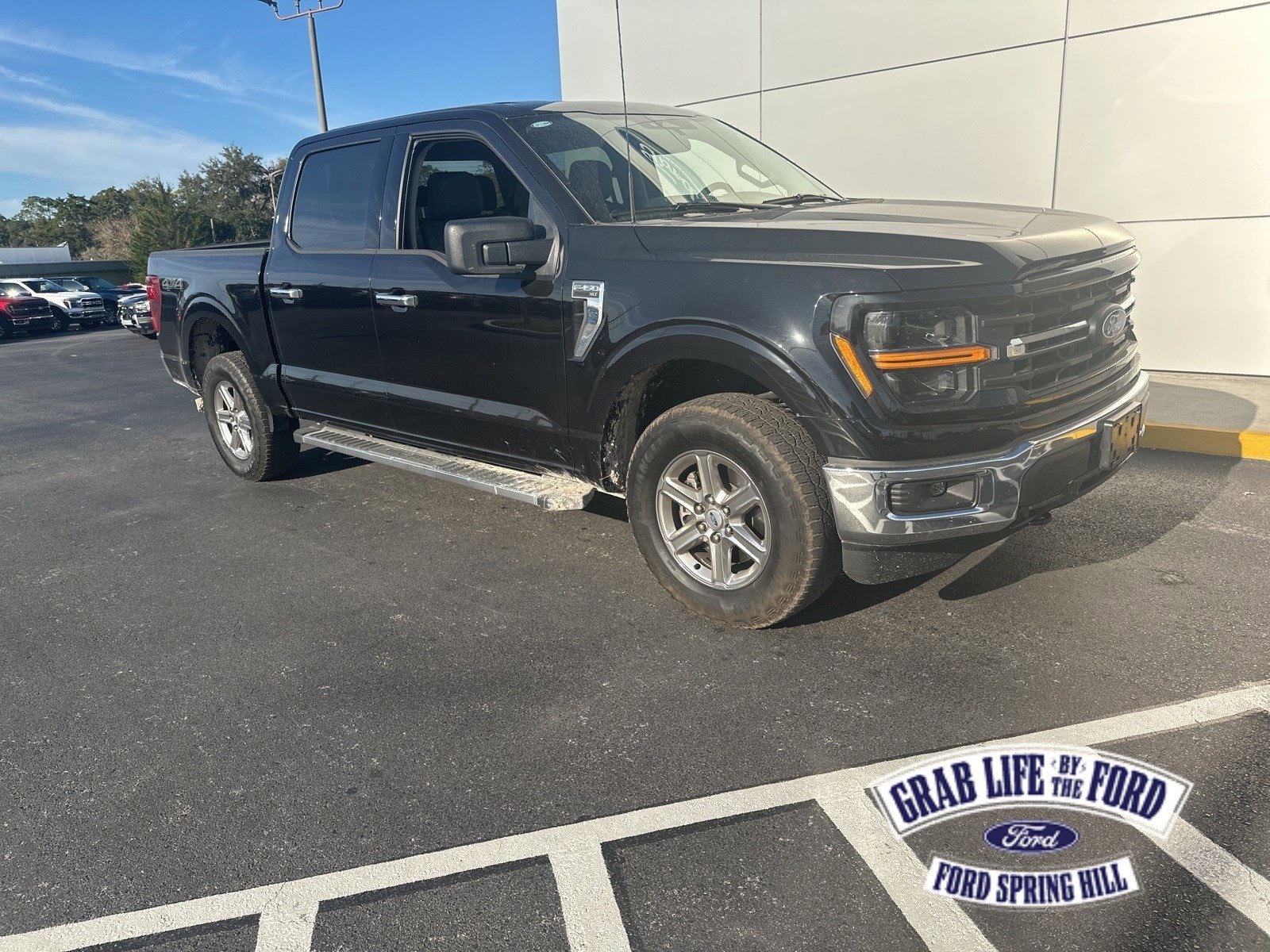 2025 Ford F-150 XLT's photo