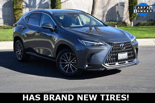 2024 Lexus NX Hybrid 350h's photo