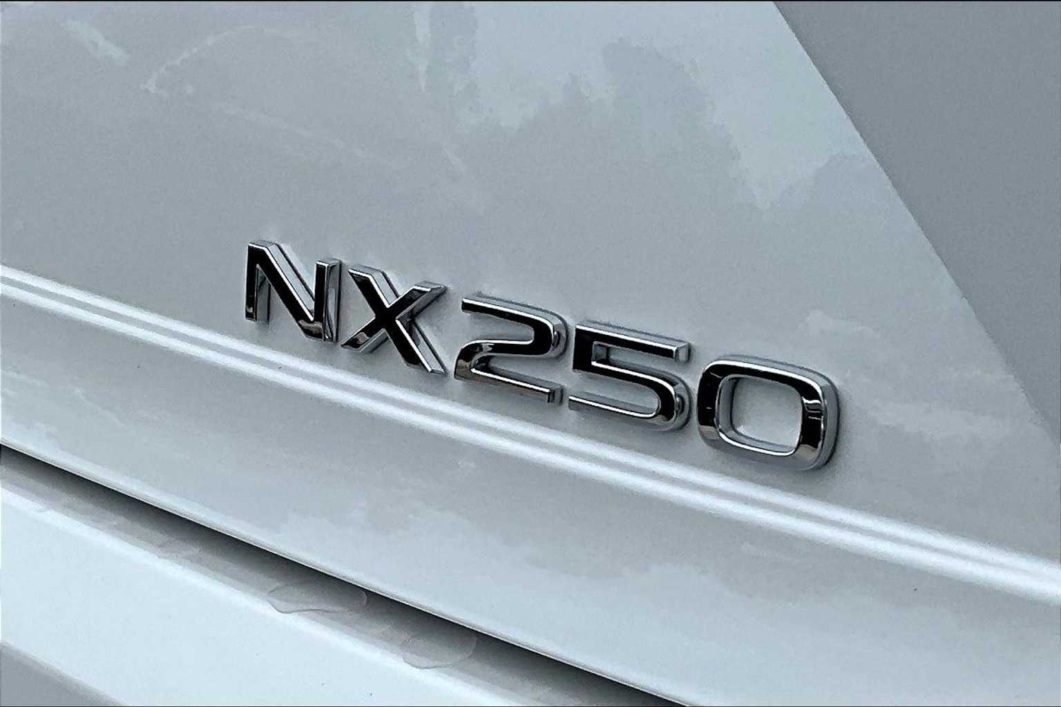 2025 Lexus NX Premium photo 8