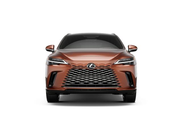 2025 Lexus RX 350 Luxury photo 4