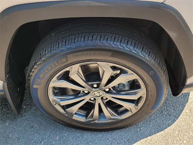 2023 Toyota RAV4 Hybrid XLE Premium photo 13