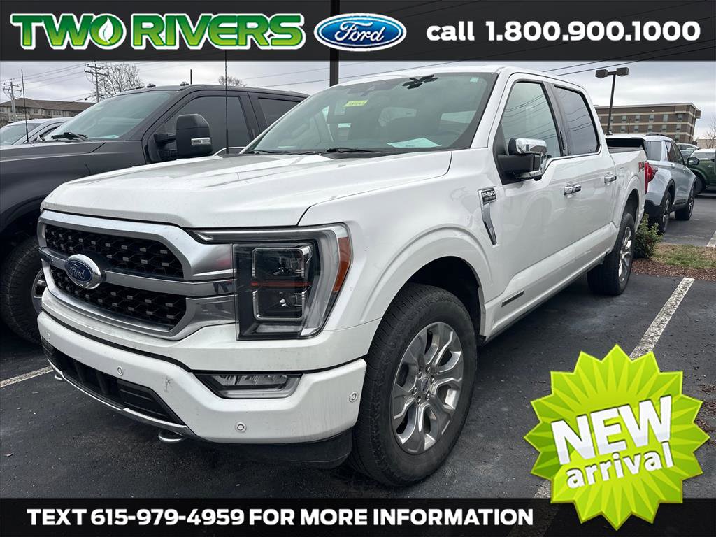 2021 Ford F-150 Platinum's photo