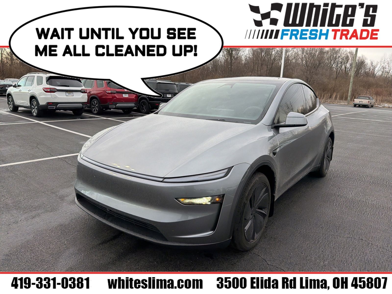 2026 Tesla New Model Y Long Range's photo