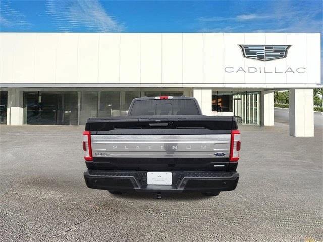 2023 Ford F-150 Platinum photo 3