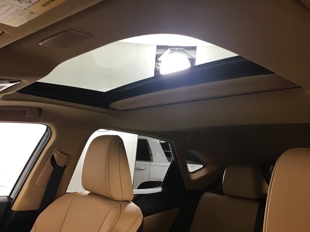 2025 Lexus NX 350h Premium photo 12