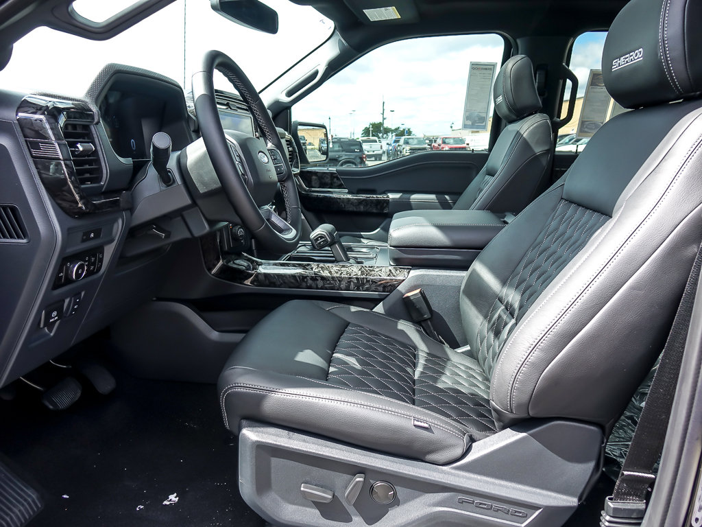 2025 FORD F-150 - Image 9