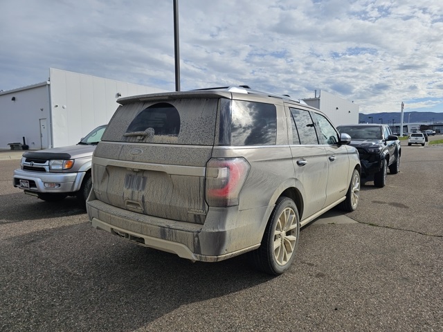 2019 Ford Expedition Platinum photo 2