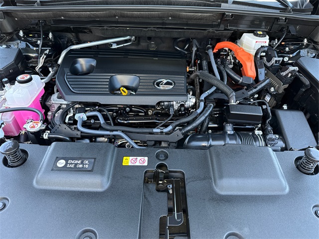 2024 Lexus NX 350h Premium photo 12