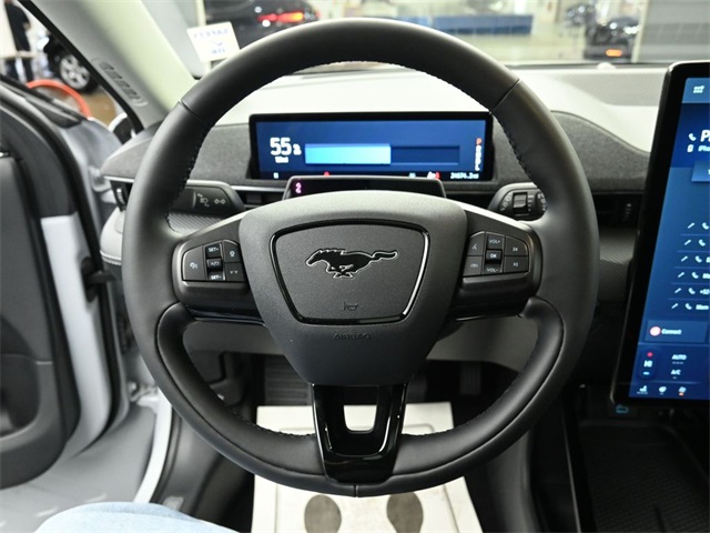 2023 Ford Mustang Mach-E Premium photo 14