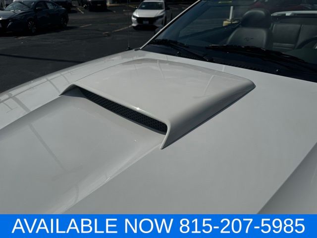 2004 Ford Mustang GT photo 16