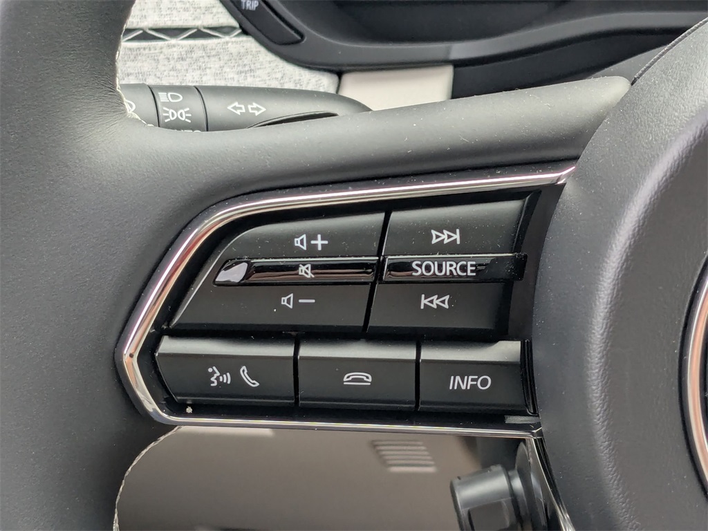 2025 Mazda CX-90 3.3 Turbo Premium Plus photo 14