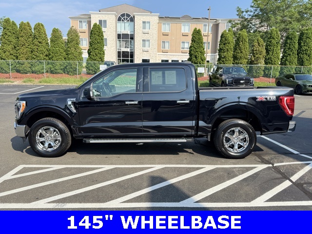2023 Ford F-150 XLT photo 4
