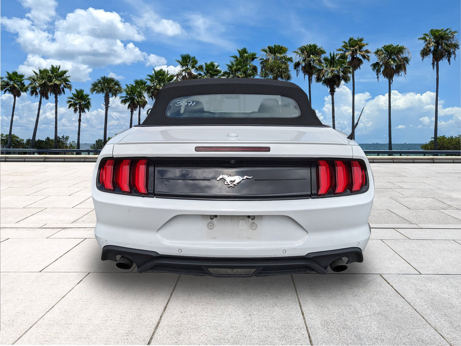 2023 Ford Mustang EcoBoost Premium photo 8