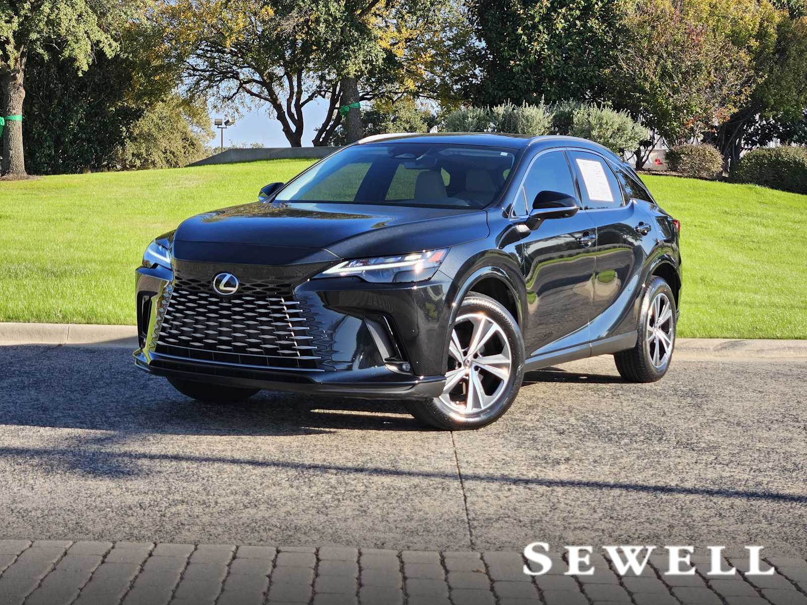 2023 Lexus RX 350's photo