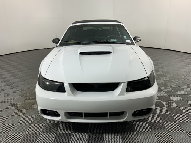 Used 2002 Ford Mustang GT Deluxe with VIN 1FAFP45X52F195537 for sale in Marysville, WA