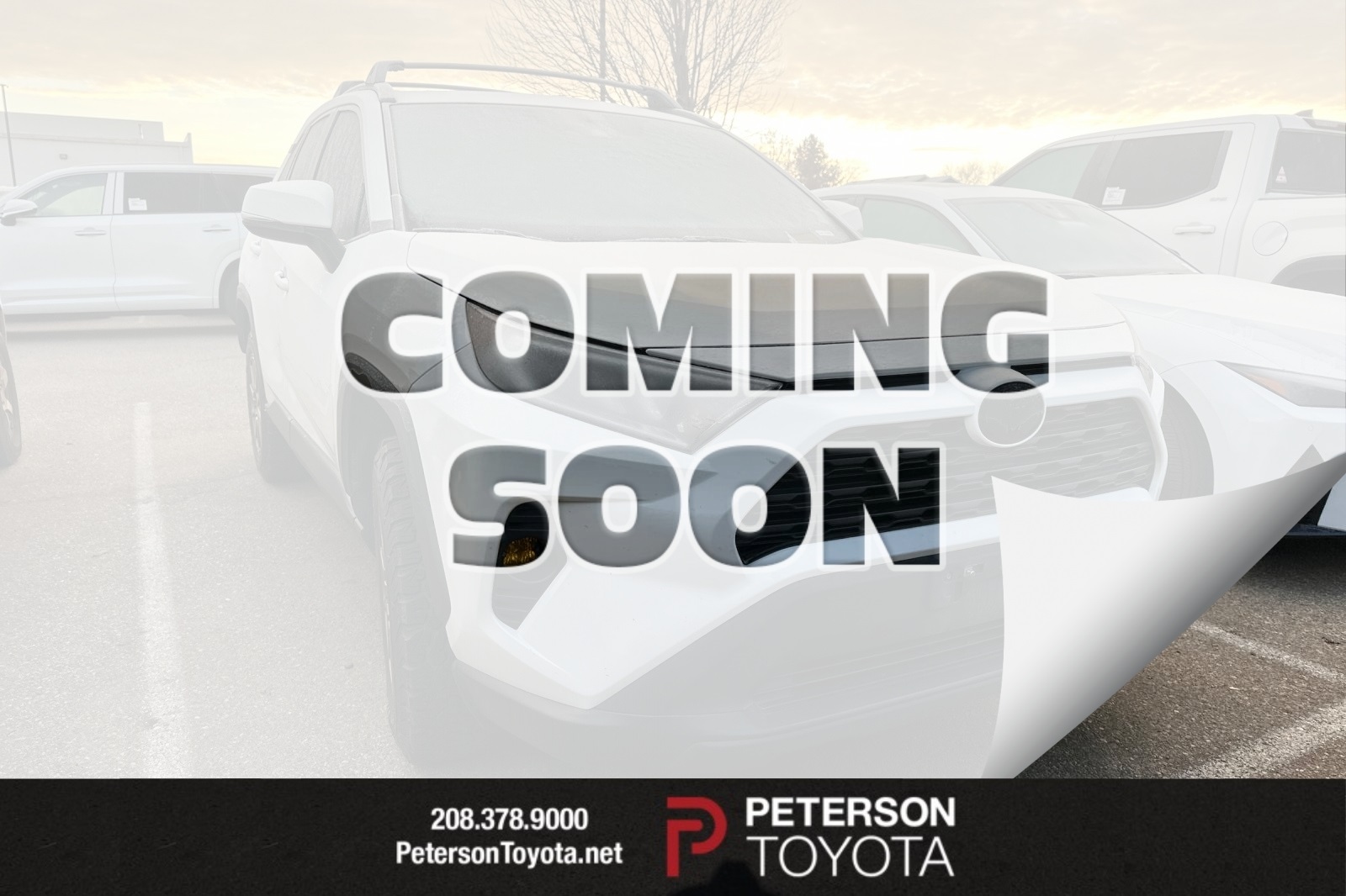 2021 Toyota RAV4 XLE's photo