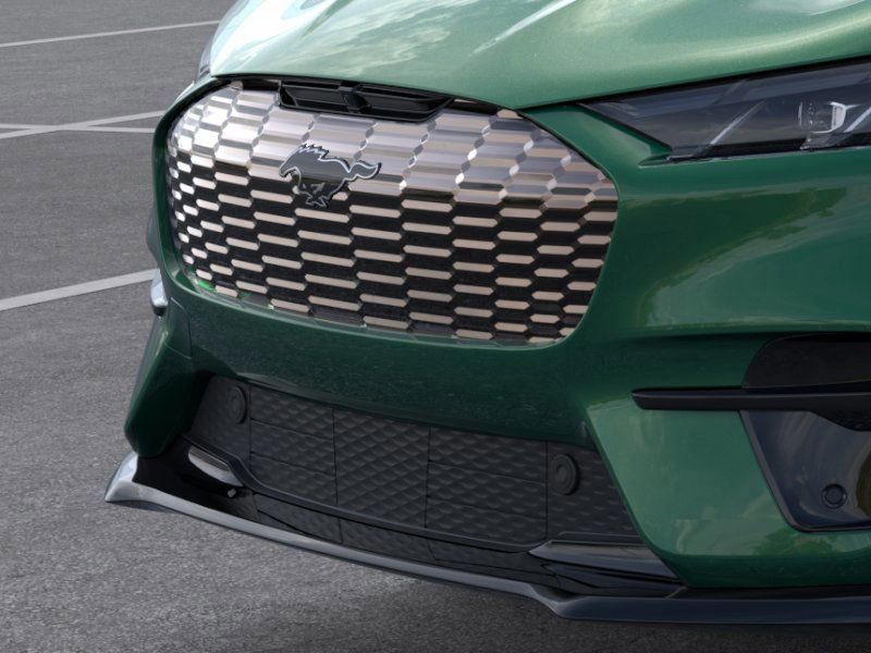 2025 Ford Mustang Mach-E GT photo 14