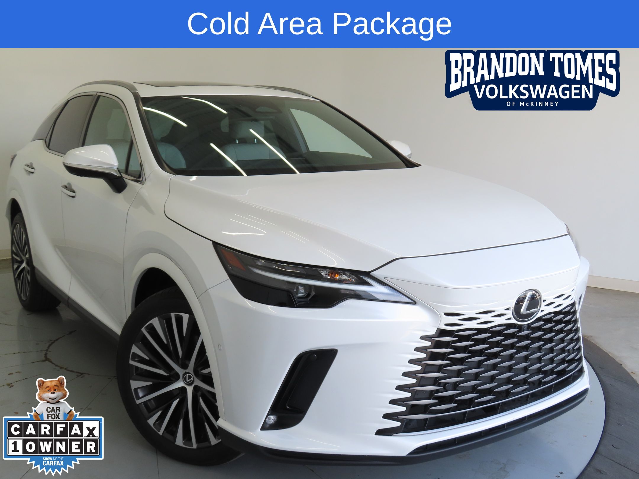 2024 Lexus RX 350's photo