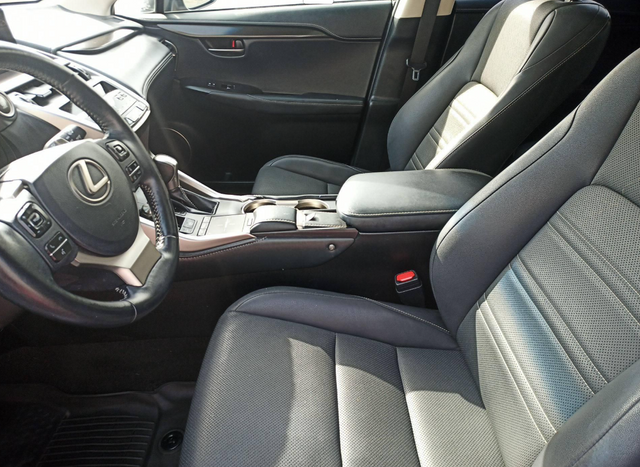 2019 Lexus NX 300 Luxury photo 2