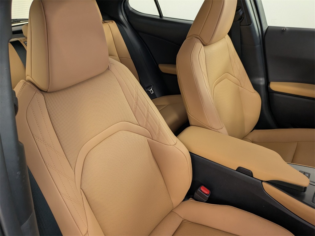2025 Lexus UX photo 31