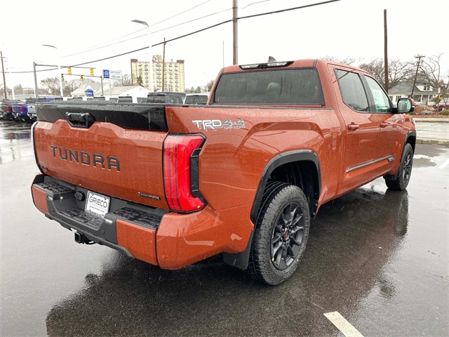 2025 Toyota Tundra Platinum CrewMax photo 3