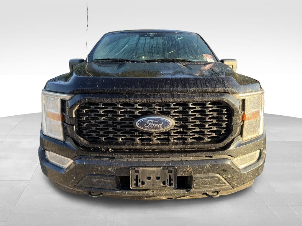 2021 Ford F-150 XL photo 3