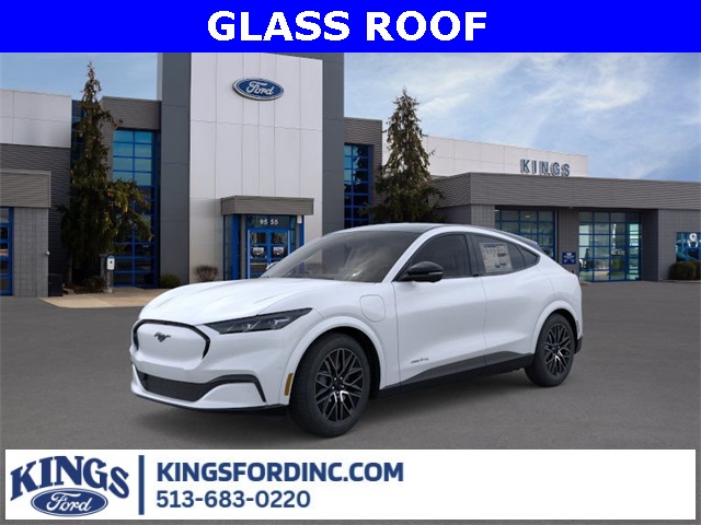 2025 Ford Mustang Mach-E Premium AWD's photo