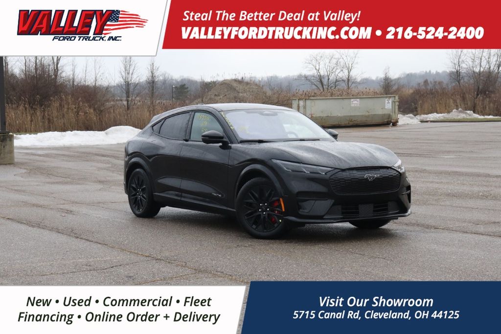 2025 Ford Mustang Mach-E Premium AWD's photo