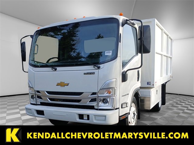 2025 Chevrolet Low Cab Forward Base's photo