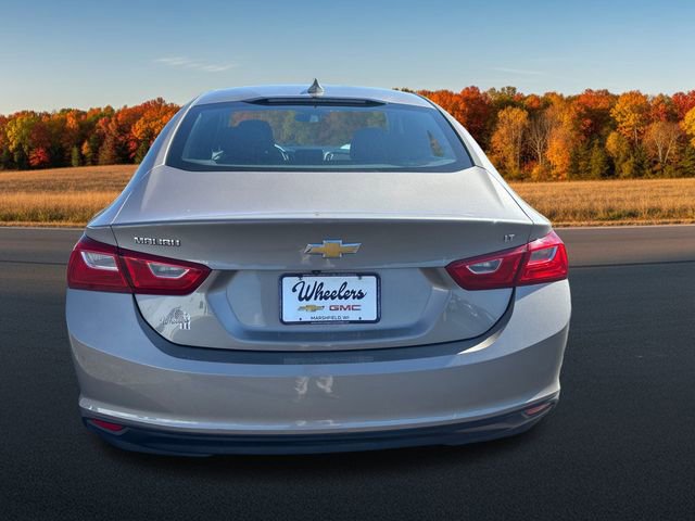 2023 Chevrolet Malibu 1LT photo 4