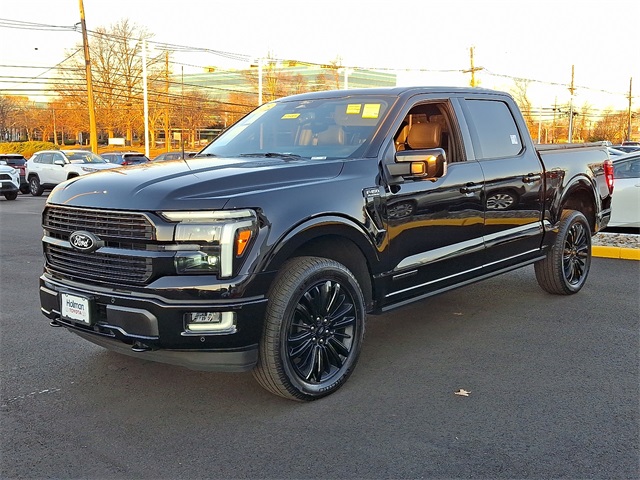 2025 Ford F-150 Platinum photo 4