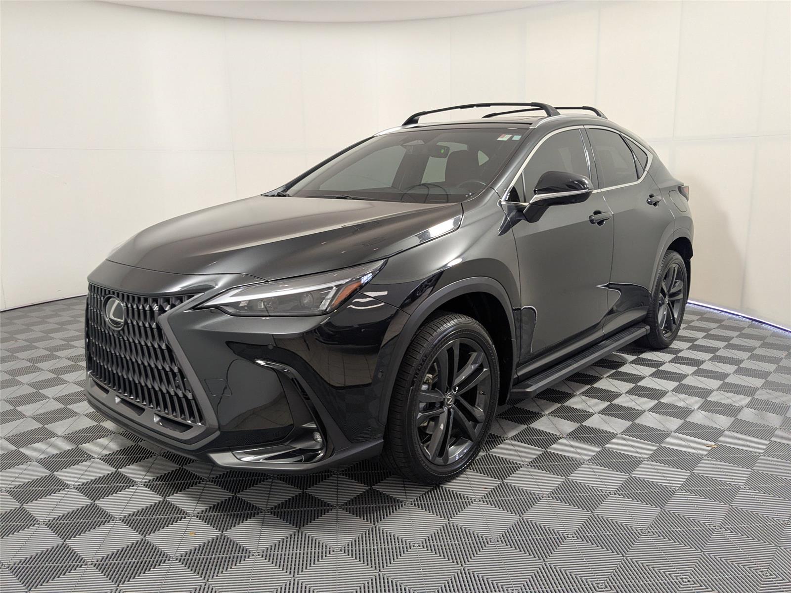 2022 Lexus NX PHEV 450h+'s photo