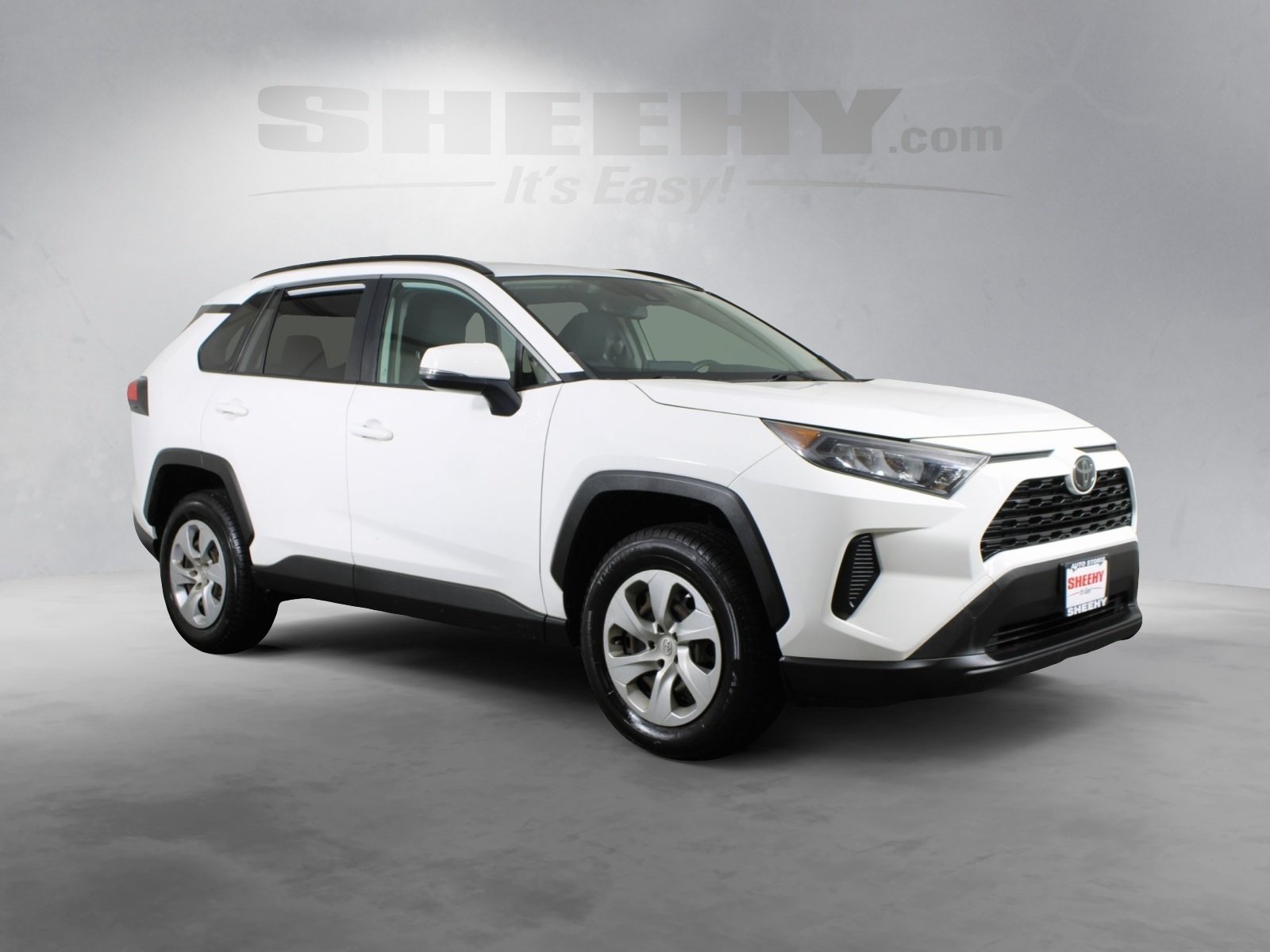 2019 Toyota RAV4 LE photo 2