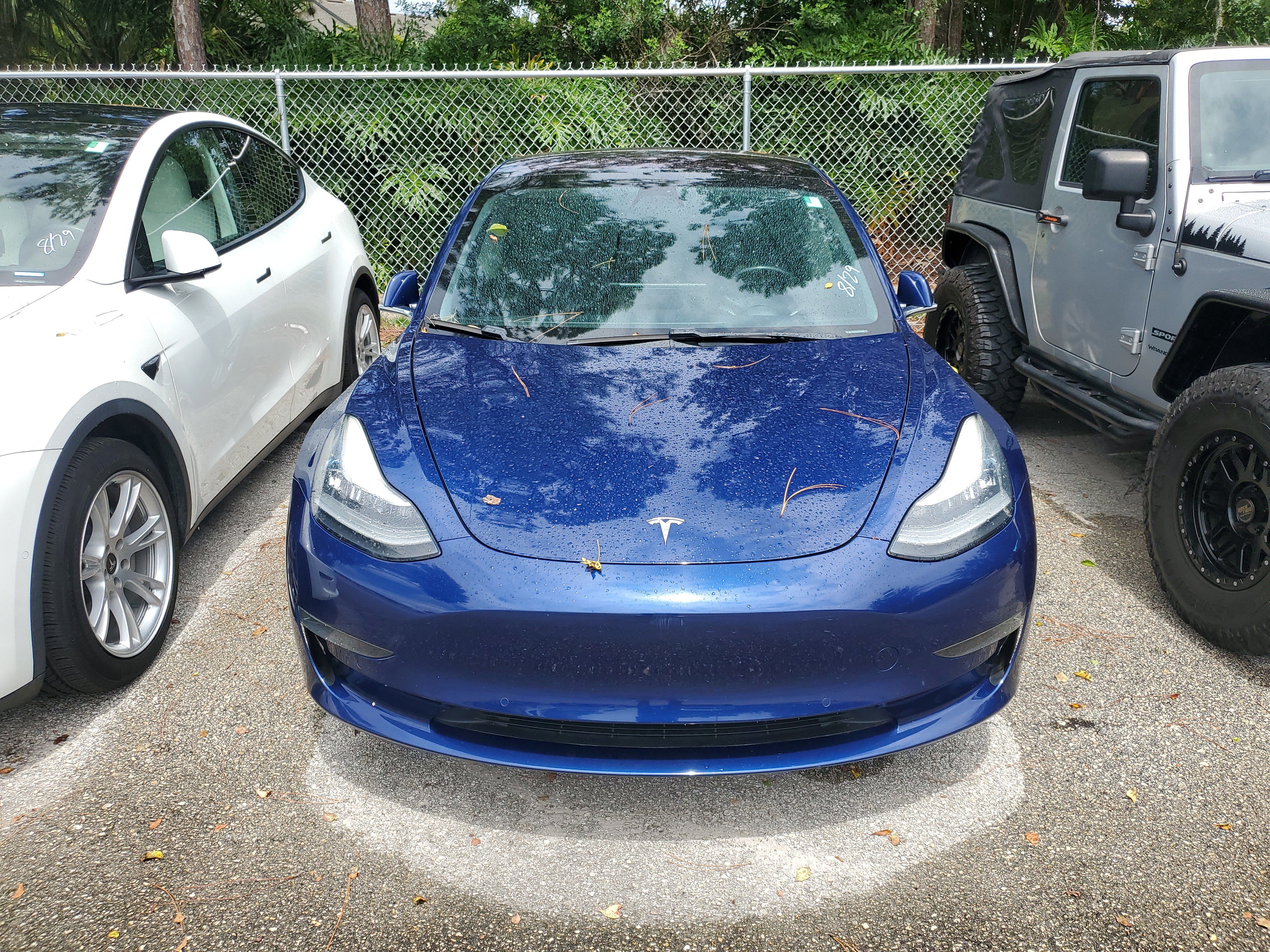 Used 2018 Tesla Model 3 Base with VIN 5YJ3E1EA6JF164281 for sale in Orlando, FL
