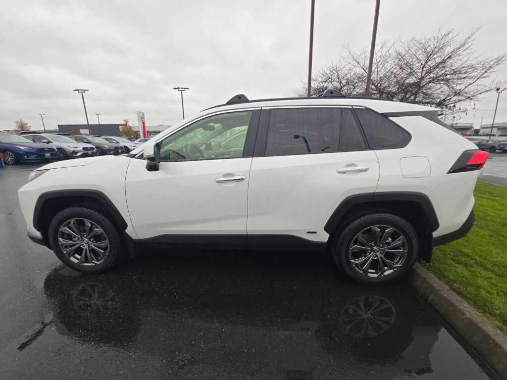 2025 Toyota RAV4 Hybrid Limited photo 4