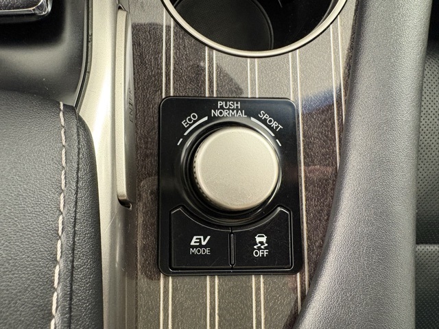 2017 Lexus RX 450h photo 14