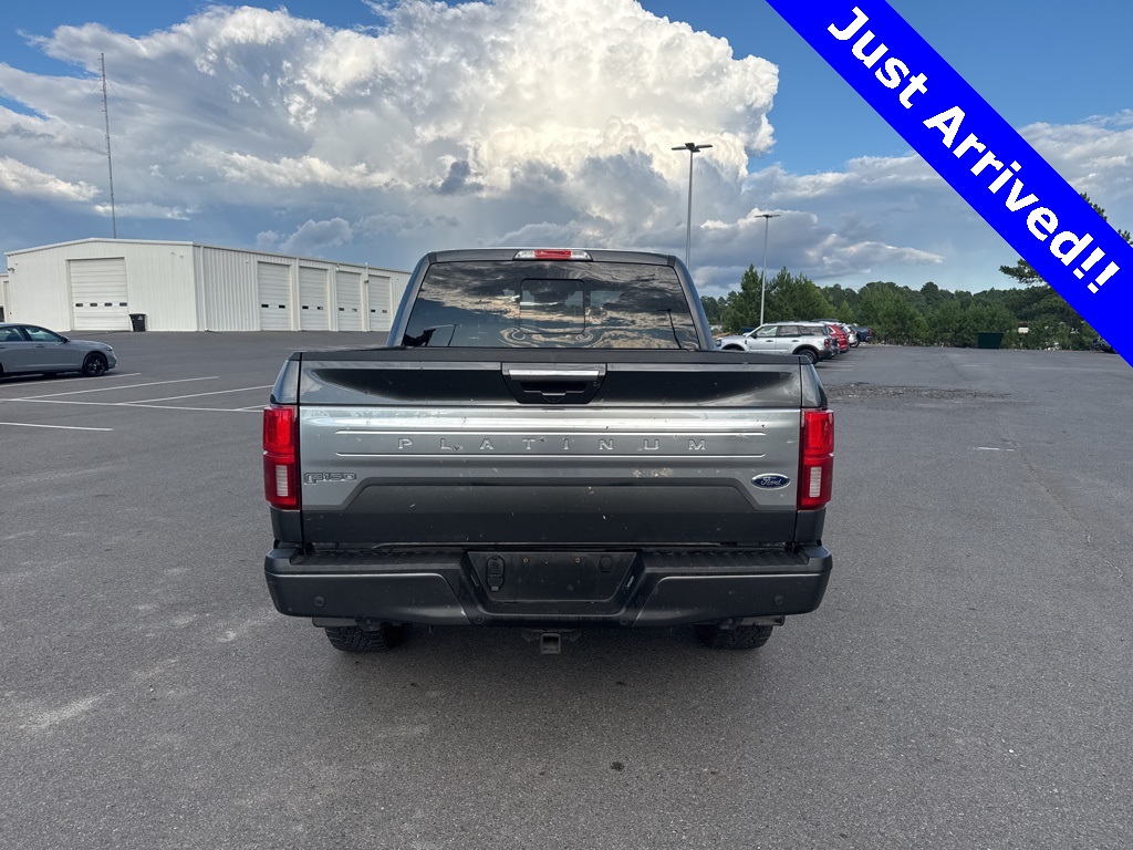 2019 Ford F-150 Platinum photo 3