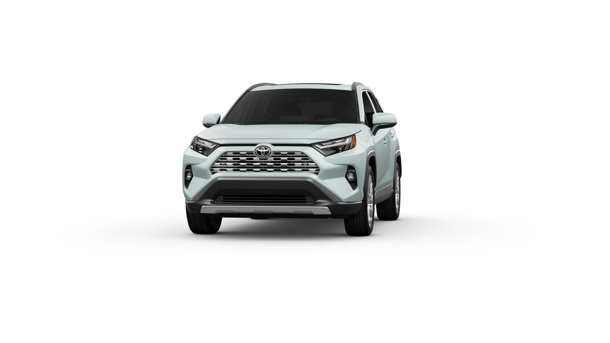 2025 Toyota RAV4 Limited photo 48