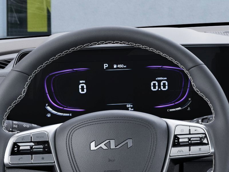2025 Kia Telluride EX photo 13
