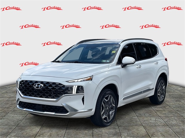 2021 Hyundai Santa Fe Calligraphy photo 7
