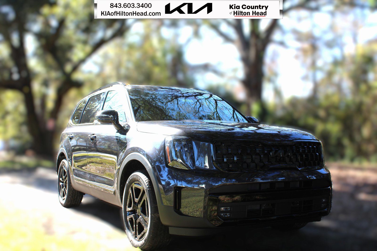 2025 Kia Telluride SX Prestige X-Line's photo