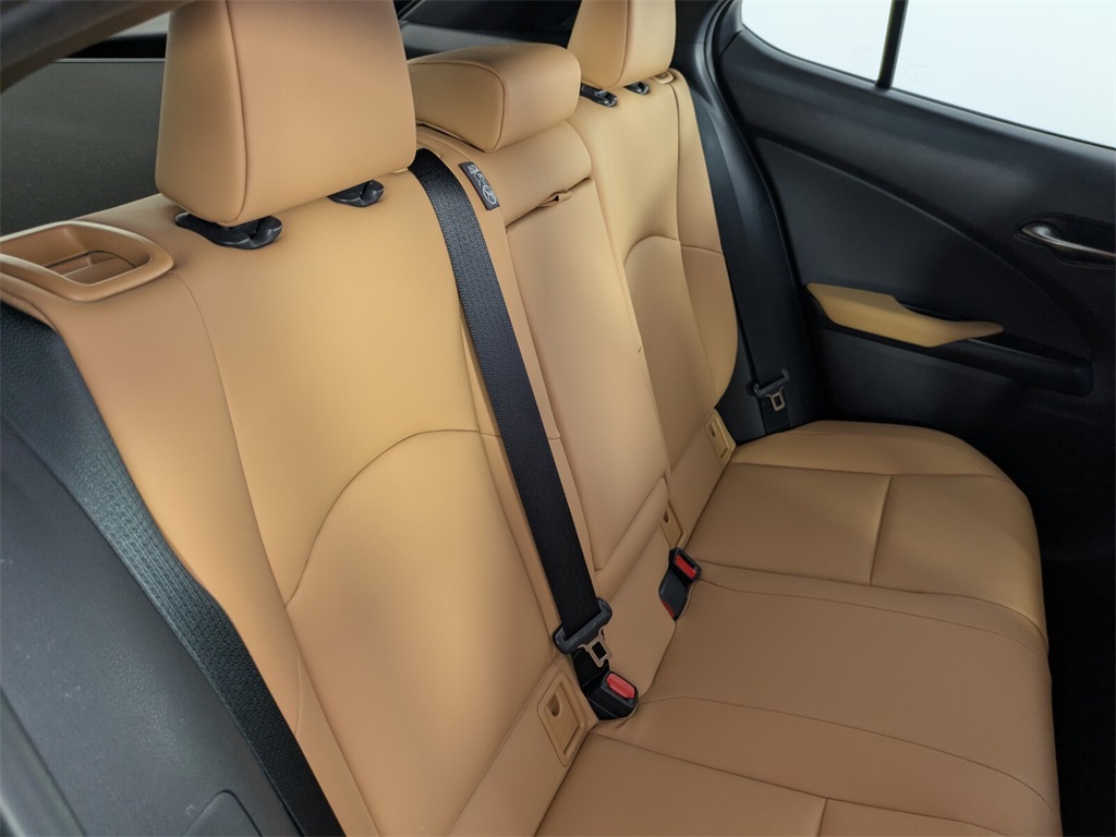 2025 Lexus UX photo 28