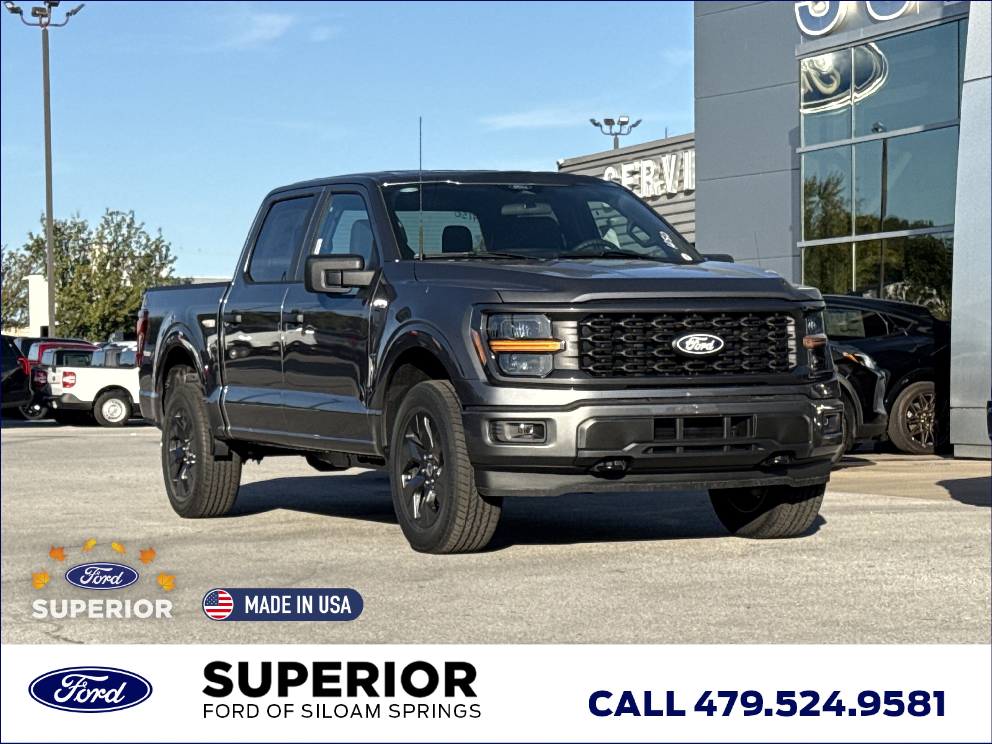 2025 Ford F-150 STX's photo