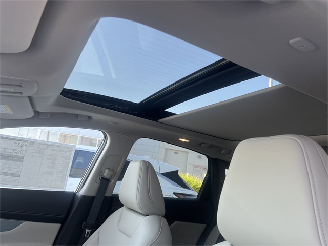 2025 Nissan Murano SL photo 6